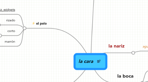 Mind Map: la cara