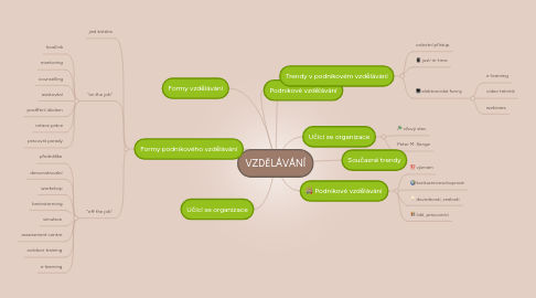 Mind Map: VZDĚLÁVÁNÍ