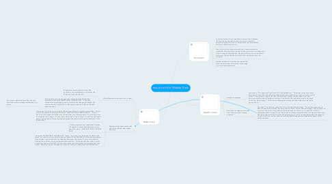 Mind Map: Issues of the Middle East