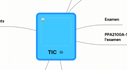 Mind Map: TIC