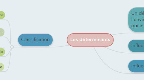 Mind Map: Les déterminants