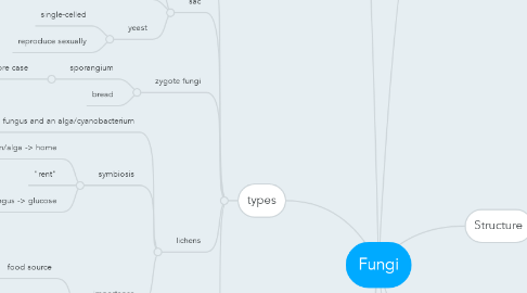 Mind Map: Fungi