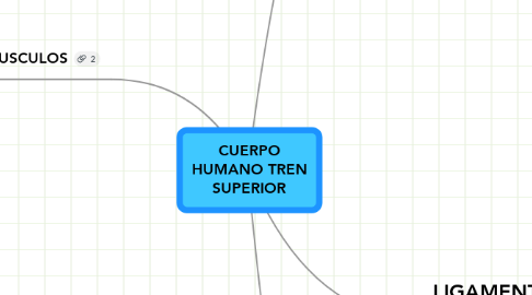 Mind Map: CUERPO HUMANO TREN SUPERIOR