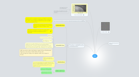 Mind Map: BRUS