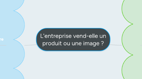 Mind Map: L'entreprise vend-elle un produit ou une image ?