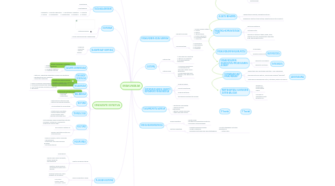 Mind Map: ERAKUNDEAK