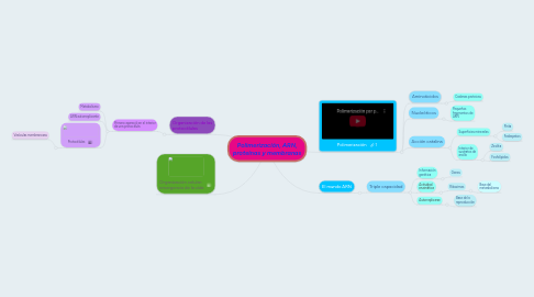 Mind Map: Polimerización, ARN, proteínas y membranas