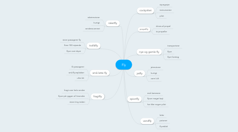 Mind Map: Fly