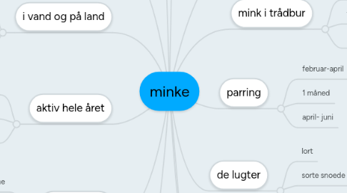 Mind Map: minke