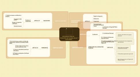 Mind Map: SEGURIDAD PÚBLICA MUNICIPIO DE TIJUANA, BAJA CALIFORNIA
