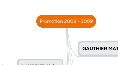 Mind Map: Promotion 2008 - 2009