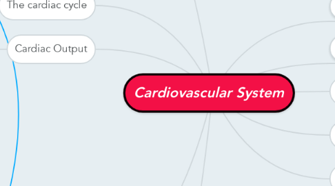 Mind Map: Cardiovascular System