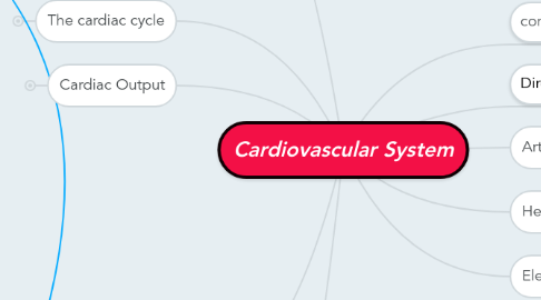 Mind Map: Cardiovascular System