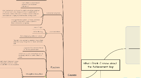 Mind Map: What I (think I) know about  the Achievement Gap