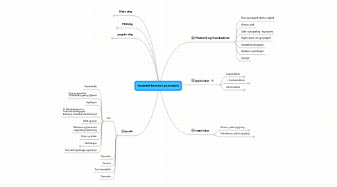 Mind Map: Samþætt kennsla í grunnskóla