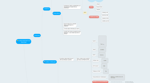 Mind Map: COMO MONTAR SUA PERSONA