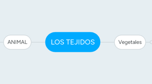 Mind Map: LOS TEJIDOS