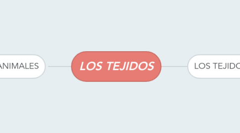 Mind Map: LOS TEJIDOS