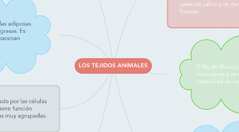 Mind Map: LOS TEJIDOS ANIMALES
