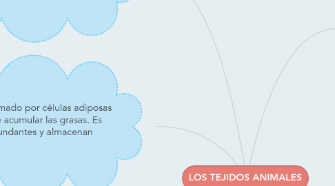 Mind Map: LOS TEJIDOS ANIMALES