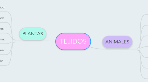 Mind Map: TEJIDOS