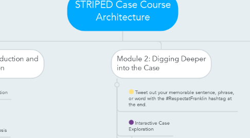 Mind Map: STRIPED Case Course Architecture