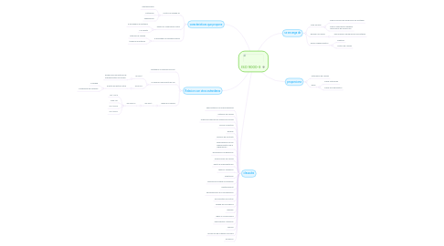 Mind Map: ISO 9000-3