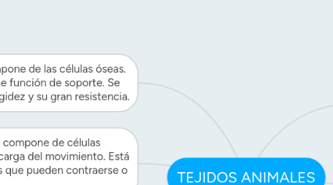 Mind Map: TEJIDOS ANIMALES