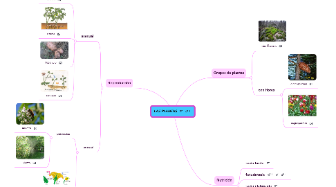 Mind Map: LAS PLANTAS