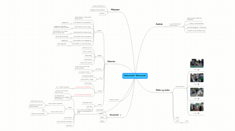 Mind Map: Hedemarked - Micronomics