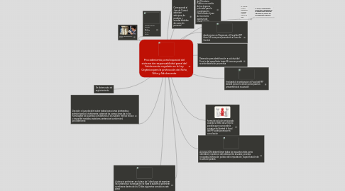 Mind Map: Procedimiento penal especial del sistema de responsabilidad penal del Adolescente regulado en la Ley Orgánica para la protección del Niño, Niña y Adolescente