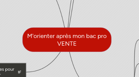 Mind Map: M'orienter après mon bac pro VENTE