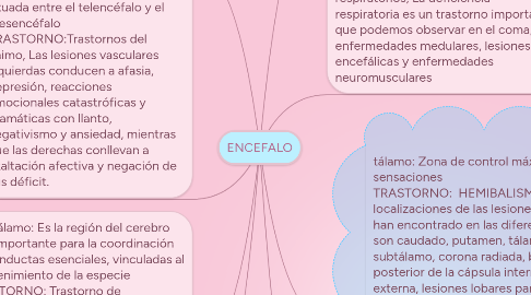 Mind Map: ENCEFALO