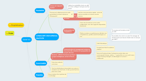 Mind Map: Sanef 3.0