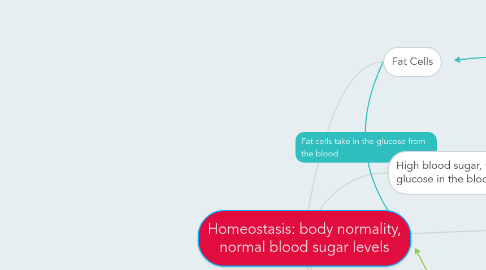 Mind Map: Homeostasis: body normality, normal blood sugar levels