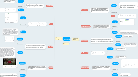 Mind Map: Student Assessment