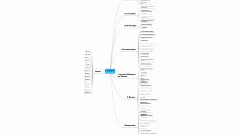 Mind Map: Konstrukte