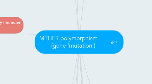 Mind Map: MTHFR polymorphism (gene 'mutation')
