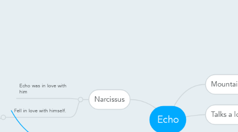 Mind Map: Echo