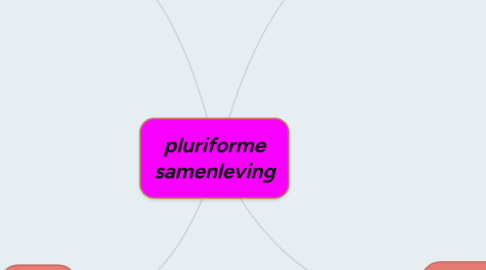 Mind Map: pluriforme samenleving