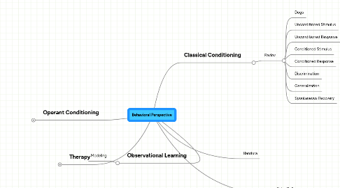 Mind Map: Behavioral Perspective