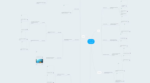 Mind Map: Form and Function