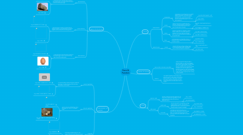 Mind Map: Form & Function