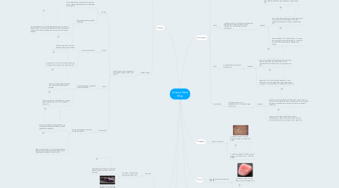 Mind Map: Science Mind Map