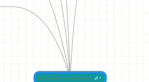 Mind Map: Matricea SWOT a modelului american