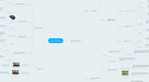 Mind Map: Form and Function Summative #1 Mind Map