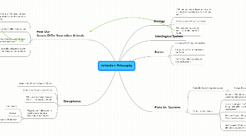 Mind Map: Aristotle's Philosophy