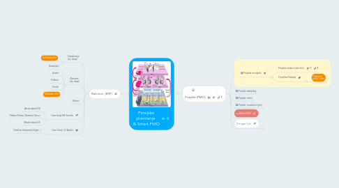 Mind Map: Finsijsko planiranje & Smart.PMO