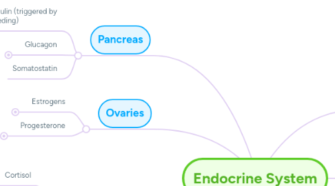Mind Map: Endocrine System