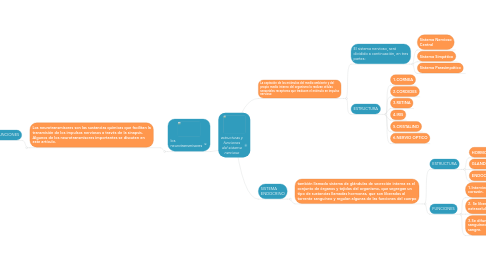 Mind Map: estructuras y funciones del sistema nervioso